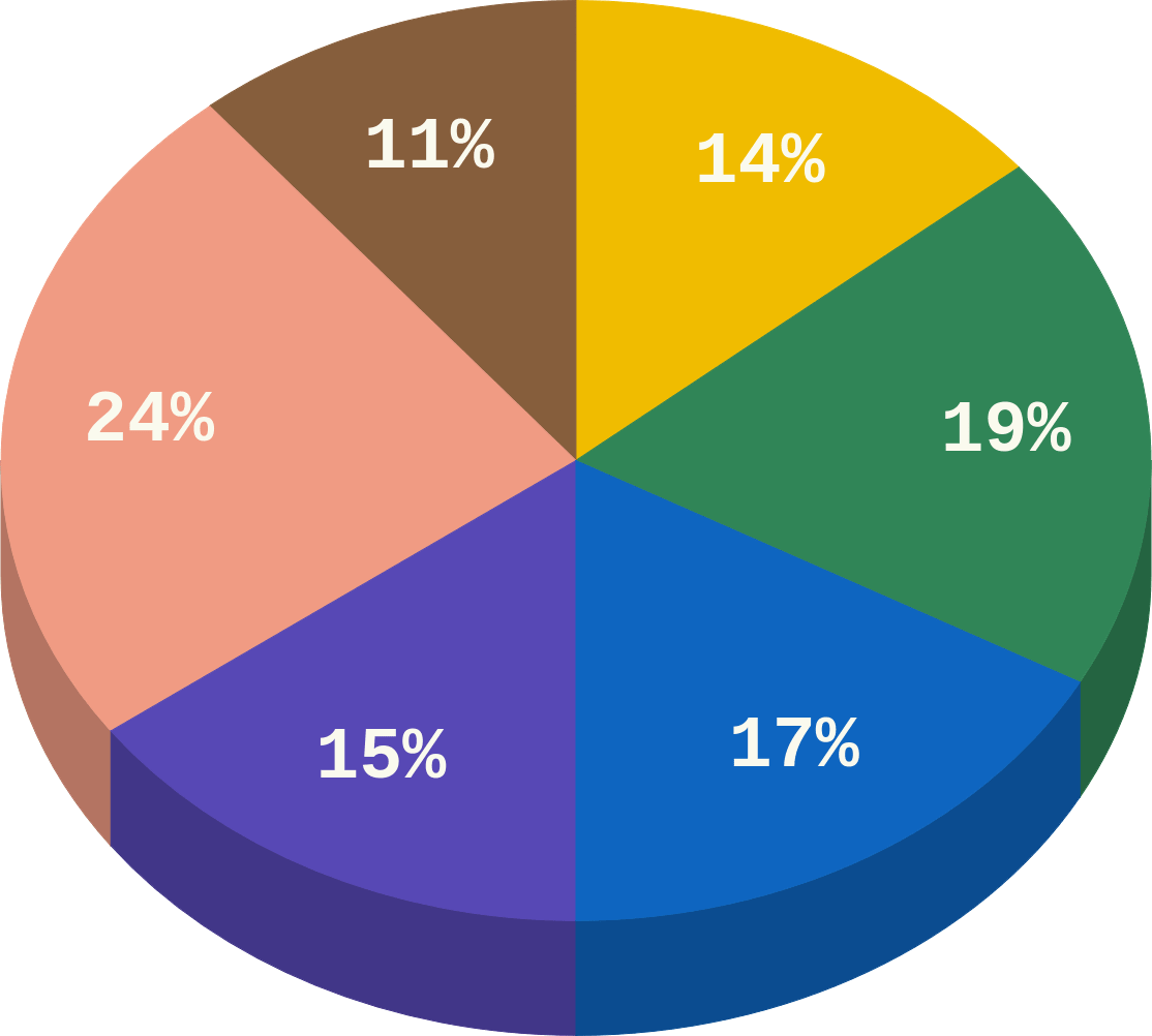 Un camembert présentant 6 sections colorées variant entre 11 et 24%.